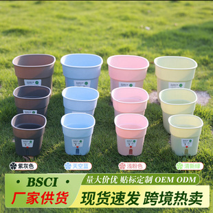 ���σ�ˮ��������ˮ������ֲ��Nֲ���滨���҃ȶ�����