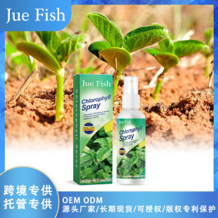 JUE FISH Chlorophyll Spray Flower Plant Potted Vegetable Yellow Leaf Nitrogen Urea Nutritional Fertilizer