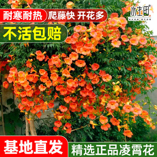 ���������ٴ����Ϙ������ͺ��̨���̻���������ֲ��Gֲ����ͥԺ