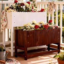 �̨����ľ�������Nֲ�������L���λ���ͥԺ���L�l���_���ۇ���