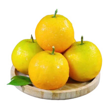 �V���ĳȮ���ˮ�����S�r���������]���rˮ�������ĳ�һ�����l