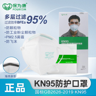 Baoweikang 1861 Mask Anti-Industrial Dust Welding Head-Mounted Polished Kn95 Independent Mask