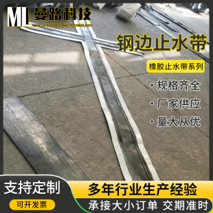Steel Edge Rubber Water Stopper, Embedded Back-Mounted Outer-Mounted Rubber Water Stopper for Construction Engineering Subway Tunnels