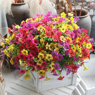 �羳���R�d���滨�ٻ�7���ȼ������_�mС�����Gֲ���ϻ��Ҿ�ͥԺ