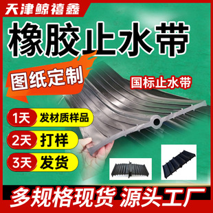 Rubber Water Stopper, Medium Embedded Type 651 Steel Edge Type, Back-Mounted Type, External Type, Removable Type, for Water Use in Buildings