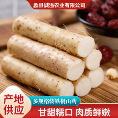 产地直供新鲜铁棍山药3斤5斤装食用怀山药当季热销现挖铁棍麻山药