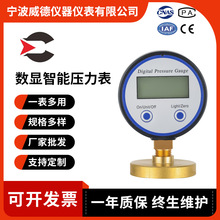厂家批发Y63数字压力表 智能数显压力表 直立式数字显示压力表