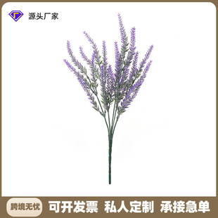 �羳������滨 5��ֲ�q޹�²ݼҾ��b�Ʒֲ���c��@�컨���S��