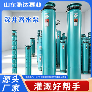 150QJ/175QJ/200QJ/250QJˮ��ʽ�༉��ˮ��QJ�T�F���