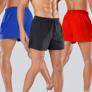 Simple Shorts Men's Cross-border Summer Thin Quick-drying Quad Pants Sports Casual Breathable Straight Large Size Pants Pants