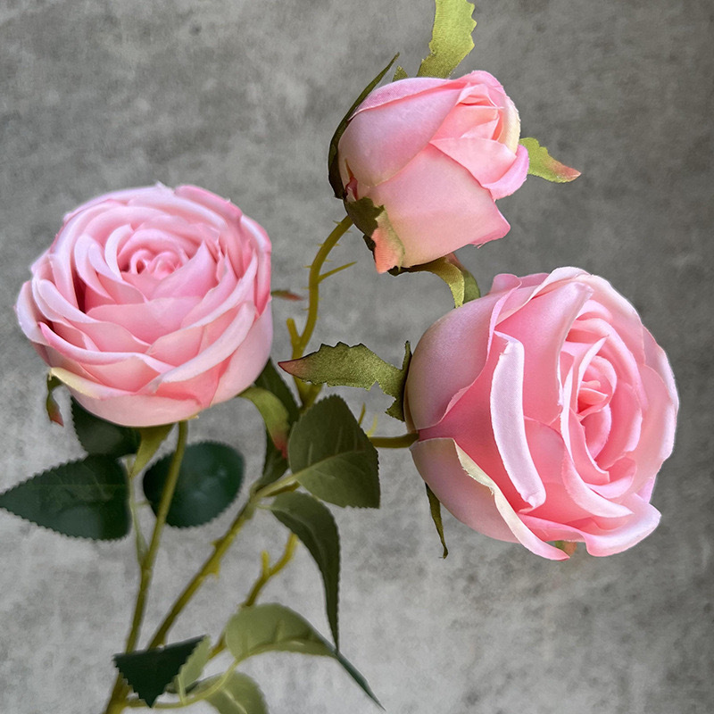 3헤드 프린세스 로즈-텐더 핑크