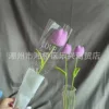 Tulip purple