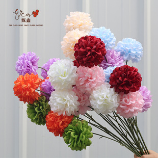 3�^������滨 ��c��Y���bٻ� �ᭇ�� ��ռٻ����Ż��Ľ���