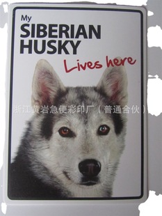 Supply manufacturers customize foreign trade plastic PP pet warning signs can be pasted and ordered