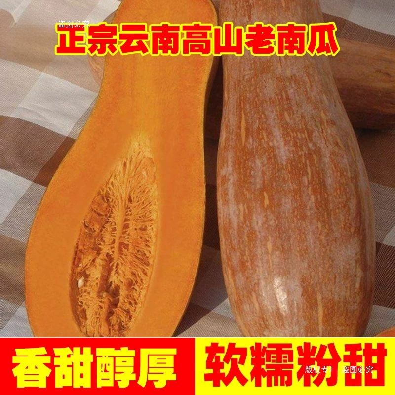 Yunnan Old Pumpkins, Farm-Grown, Seasonal, Fresh, Sweet and Glutinous, Suitable for Baby Food, Whole Box, Steamed, Dense Pumpkin Yunnan Old Pumpkins, Farm-Grown, Seasonal, Fresh, Sweet and Glutinous, Suitable for Baby Food, Whole Box, Steamed, Dense Pumpkin