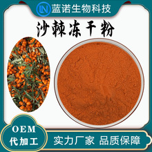 厂家直供沙棘冻干粉99%沙棘提取物原料产地500g/袋包邮沙棘冻干粉