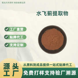 水飞蓟提取物 水飞蓟素80% 植物原料 水溶性粉末 奶蓟草粉
