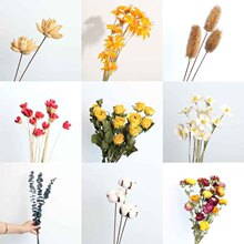 ~�ɻ��������տ��ȼ����޻�õ���r����β DIY�廨���ļҾ��b��
