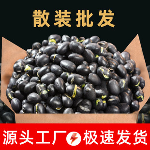 �ڶ�ɢ�b��؛�G���}����ʳ���ֺڶ���ʳ��ʳ����s�Z���l���b���l