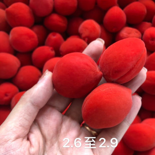 �t�ҡ�����������ҡ����T���� ɢ�b�������b500g 2.5kg 40��/��