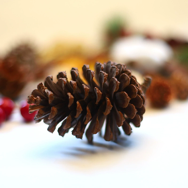 Decorations, pendant handmade, photo shoot props, DIY