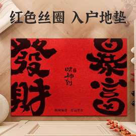 加厚高级感入户门pvc脚垫客厅丝圈门口刮泥防滑地垫可洗耐用门垫