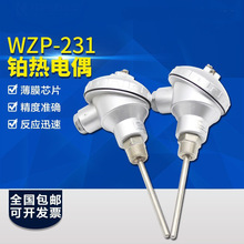 Pt100�ضȂ�����WZP-231/230�b��ʽ�̶��ݼy늟�ż Pt100�K�����