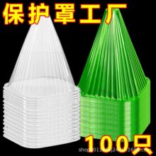 可重复方形使用植物钟罩保护植物免受鸟类蜗牛伤害植物罩防护罩