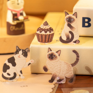 �Z�epet�N�� ������r�� �ɐ��Ȍ���ˮ�D���֎��֙C����diy�b��N