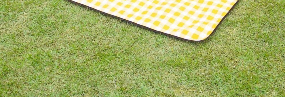 f3a8a109-44ad-4c97-9d2e-022ad2ecfdb1.jpe