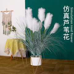 客廳絹花綠植擺件網紅草蘆葦花 花束植物草假花裝飾花藝仿真蘆葦