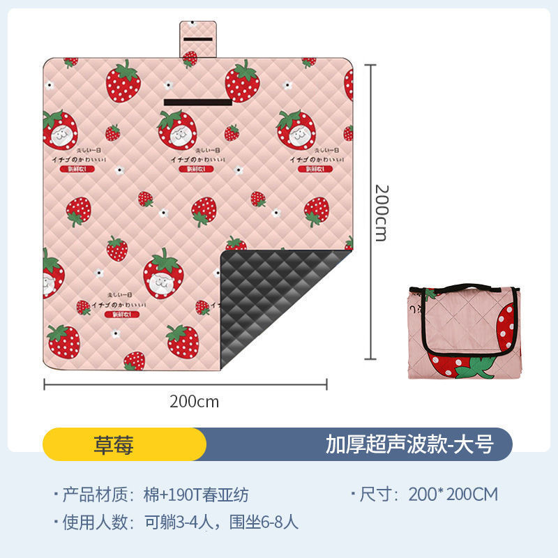 딸기 대형 200*200CM