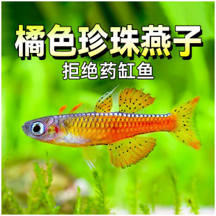 ��ɫ���������~�{�޺簢���ټt��������ݸןᎧ�~Ⱥ�λ��w