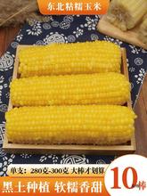 �|�����r�SŴ���������ճ���װ�����ʹּZ�����r���s�Z���]