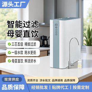 New 100G integrated water RO reverse osmosis water purifier kitchen water filter water purifier household wholesale