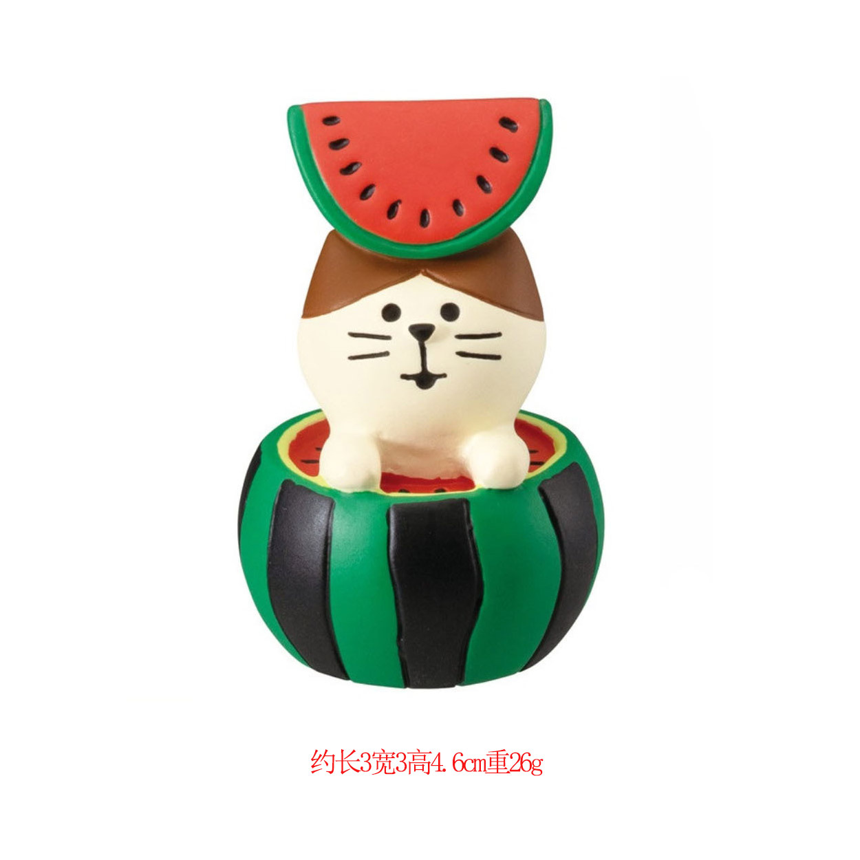 수박 목욕 고양이