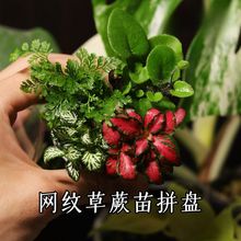 �W�y��ާ��̦�\΢���^����ֲ�����ָ����B�������������Ҭ��