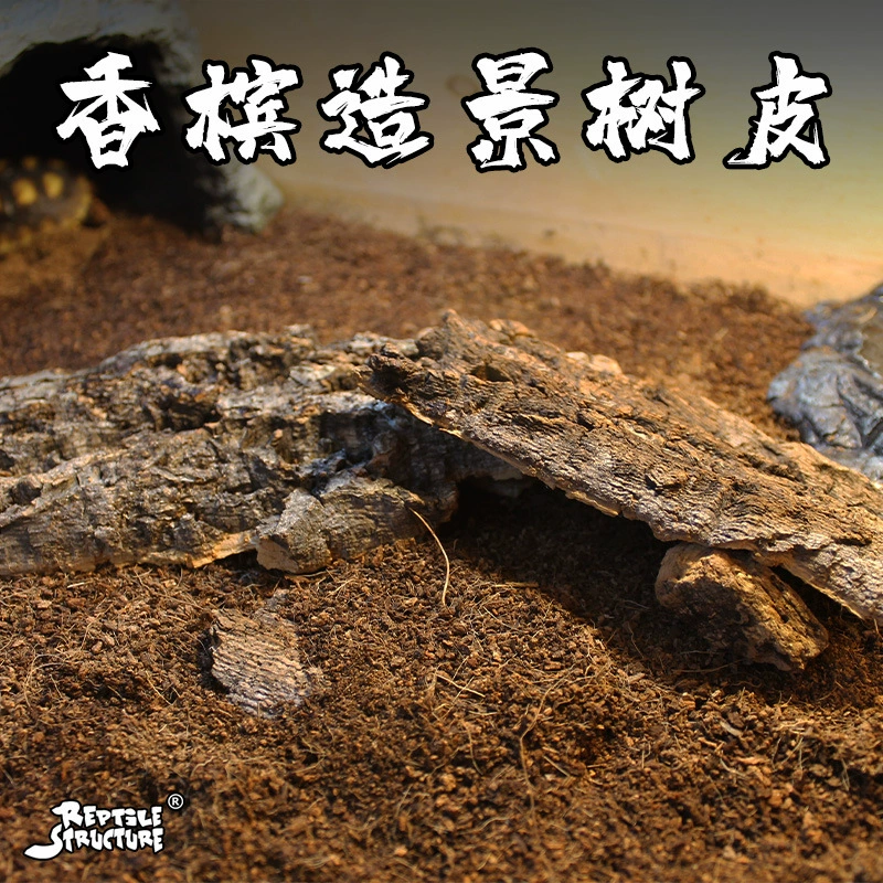 Восхождение на питомца шампанского кора хранителя дворца ящерица скорпиона змея паук избегает крысы, арбузные черви антикоррозийные и влагостойкие