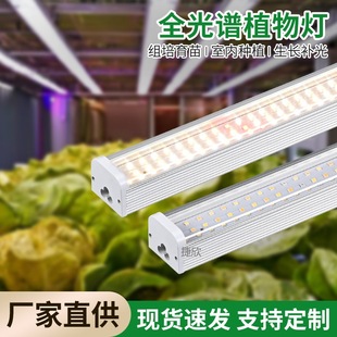 Led Plant Growth Lamp Indoor Aquarium Nursery Landscape Full Spectrum Green Plant Succulent Quantum Plate Plant Fill Light