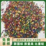 地面幼儿园室外户外跑道