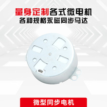 定制永磁同步电机TY-50家用灯饰按摩器马达风扇电机电风扇马达