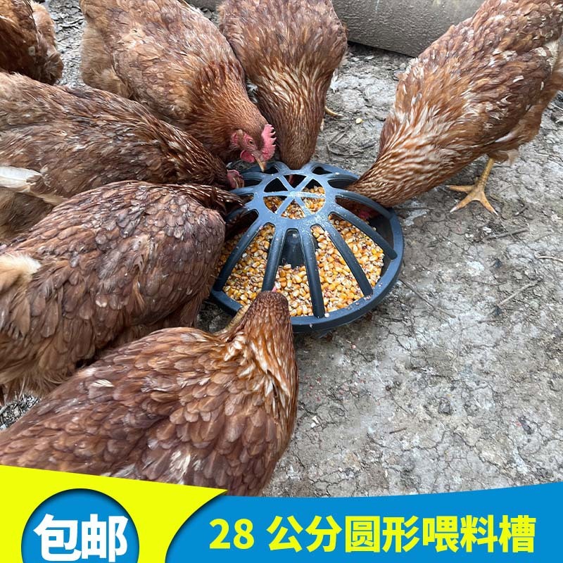 Tanque de alimentación de pollo tanque de alimentación de lechones de cerdo tanque de alimentación de cerdo tanque de alimentación de cerdo tanque de alimentación de cerdo a granel tanque de alimentación de cerdo tanque de alimentación de cerdo