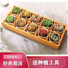 ֲСԎ莧҃ȾGֲֺB]