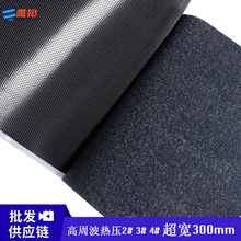 V|Sl30cmܲ300mmቺħgNPP