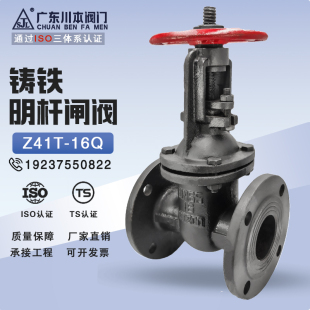 Z45T-16�T�F���U�l�y�l�巨�m�ք�����������ˮ�_�Pˮ�yDN50 65