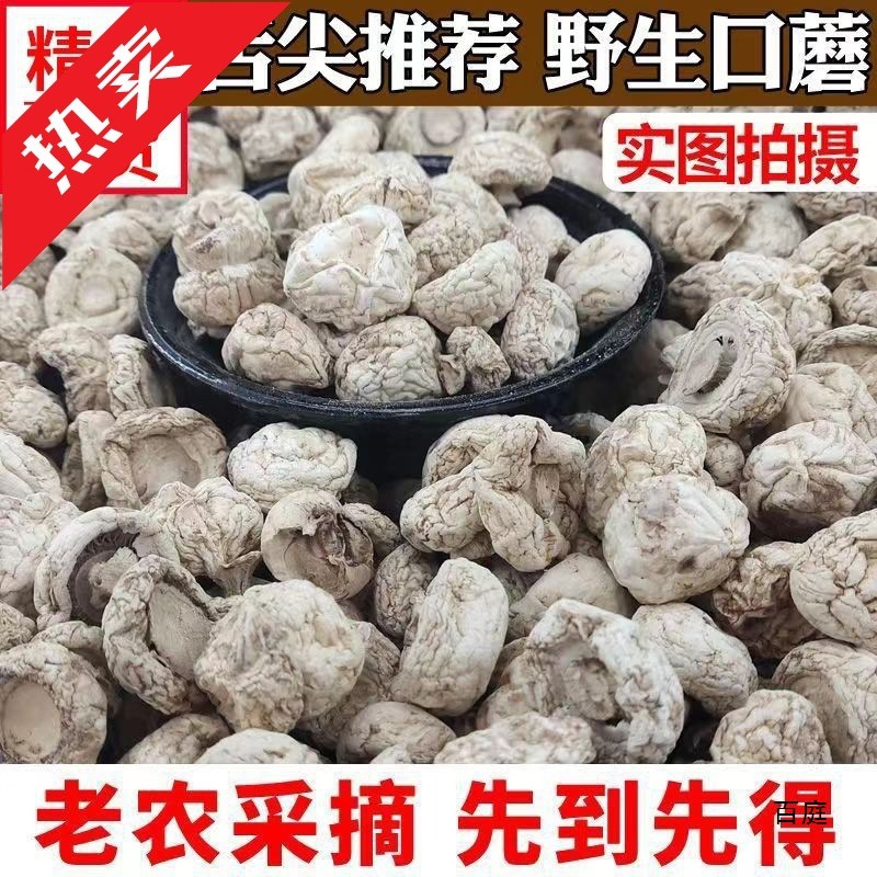 蘑菇干货口蘑张北草原野生双孢菇舌尖上的中推荐白蘑菇干货