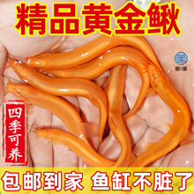 �S�����q�^�p�~������̖�S���q�坍�����~��ˮ��ˮ���B�ͻ��~��