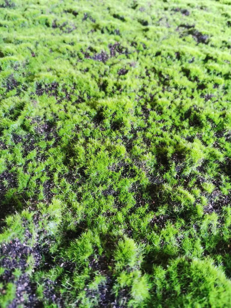 QQ图片20211109091956_副本