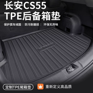 TPE Changan Cs55, Cs55Plus baqaj matı, 21 Blue Whale versiyası