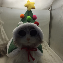 猫ミミ新年クリスマス服マントマントペット子犬犬帽子テディ比熊ヘラジカクリスマスツリー秋冬